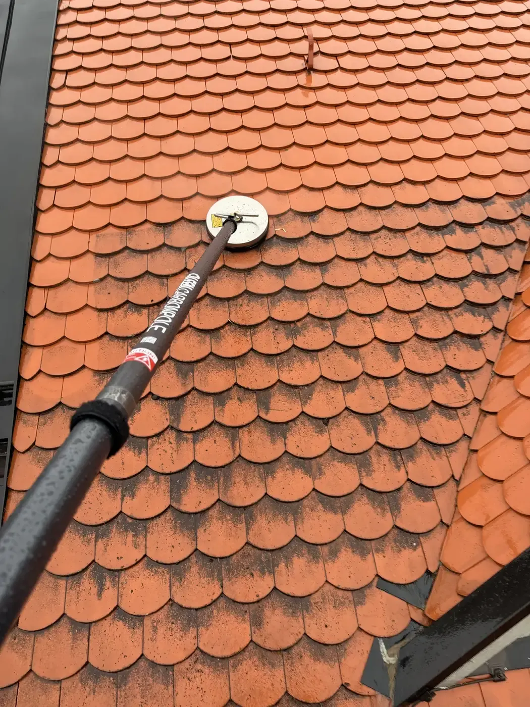Moos auf dem Dach entfernen: Wann sich eine professionelle Dachreinigung lohnt